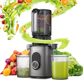 Js2304 Aaobosi Cold Press Juicer 4.35 Inch Large Feed Chute Masticating