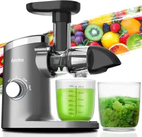 Aeitto 313101568561 Classic Horizontal Cold Press Juicer Easy To Clean Masticating Wi