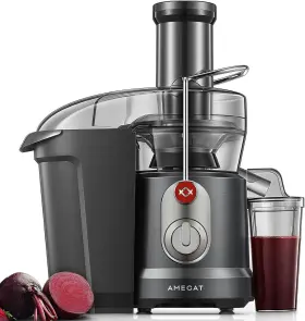 2101-grey Amegat Juicer Machines 1300w Peak Power Centrifugal Juice Extractor Matte Gray