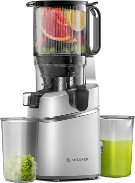 1532-sv Amzchef Juicer Machines 5.3-inch Self-feeding Masticating Fit Silver
