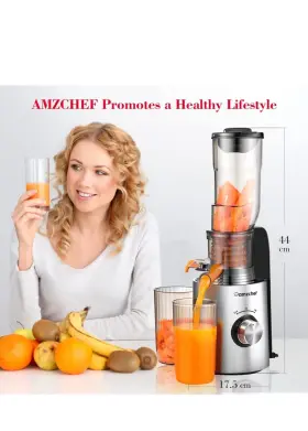 Mp-802d Amzchef Compact Slow Masticating Juicer 3.3 Inch Wide Chute Machine