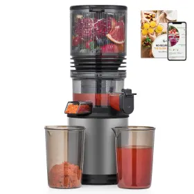 Amzchef Ul-cjh-je-78-04 Cold Press Juicer Machine With 6 Inch Extra-wide Feed Chute Triple Stainless Stee