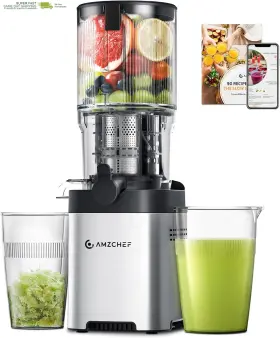 Ul-zm1902b-sv Amzchef Large Feed Chute For Whole Fruits And Vegetables Stainless Steel Slow Masticating