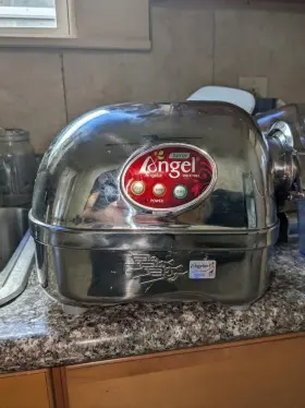 5500sfh Angel Cold Press Slow Juicer