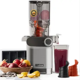 Sj054c Anybear Cold Press Juicer 200w Masticating Slow 4.3 Inch Large Feed Chute Silver
