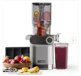 Tss45 Anybear Cold Press Stainless Steel Masticating Juicer 4.3 Inch Large Feed Chute Fit