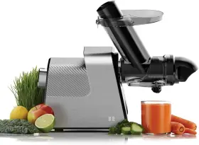 Zm-1529 Anybear Masticating Juicer Machines 3.5 Inch Large Feed Chute Cold Press