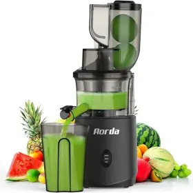 Ar-ns038 Aorda Juicer Machine With Dual Feeding Chute 200w Motor Easy To Clean And Quiet Op