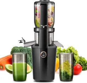 Bambrox 313054259219 Cold Press Juicer Machines With 4.2 Inch Wide Feed Chute 250w Slow Masticating Juic