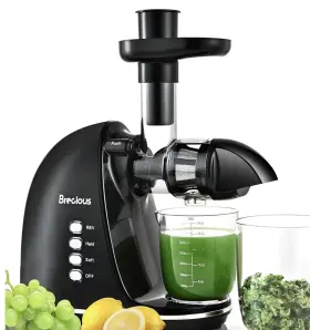 Zn1506 Brecious Slow Masticating Juicer Cold Press Juicers With 2 Speed Modes And Quiet Black