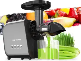 Caiwei Guangzhou Design And Development Co. Ltd 313092327338 Ginger Juicer Machine Masticating Cold Press Extractor Wheatgrass Black