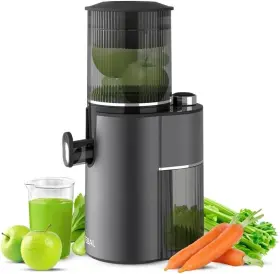 Tebal-001 Canoly Cold Press Juicer 55 Rpm Slow Masticating With Quick Safe Feed Inlet For