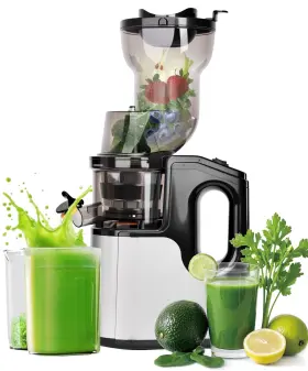 Casualife 680358357638 Cold Press Masticating Juicer 800w Motor 5.4-inch Wide Feed Chute 2