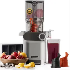 Cesicia 445025236240 Cold Press 200-watt Stainless Steel Masticating Juicer 4.3 Inch Large Feed Chute
