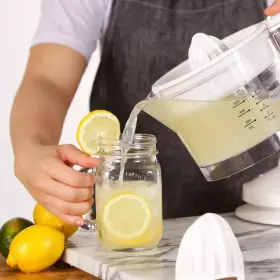 Jb065wh Dash Electric Dual Citrus Juicer Auto Reverse Dw Safe Multiple Heads New #3