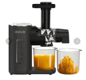 Js2201 Dostyle Professional Masticating Juicer Machine Slow Nib