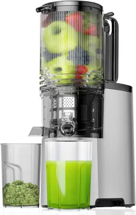 Eanoruus 313044026005 Cold Press Juicer Slow Masticating Juice Extractor Machine With 5.4 Inch Chute