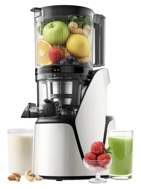 Eanoruus Eanoruus3in1 Juicer Machines 3-in-1 Cold Press With 6.5 Inch Extra Wide Chute