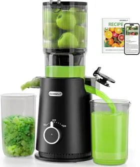 Ecoself 445015277246 Cold Press Juicer Slow Masticating Machine Wide Mouth Feeder Fruits Vegetables