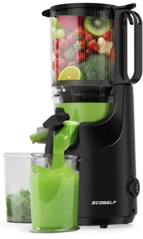 Sj-023a Ecoself Cold Press Juicer Easy To Clean 5.5 Inch Mega Mouth Chute