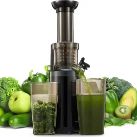 Eruule 705353738791 Compact Cold Press Masticating Juicer Bpa-free Easy To Clean Black
