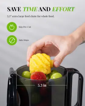 Sj016 Eruule Masticating Cold Press Juicer With 5.3 Inch Feed Chute For Whole Fruits And Veggies #2