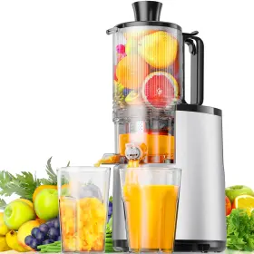 Mj-01s Euhomy Cold Press Juicer 5.5 Inch Extra Large Feed Chute Slow Masticating 250w