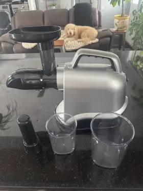 Gm3003 Fezen Frozen Electric Juicer