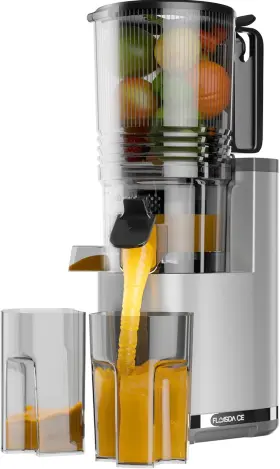 Floisdace 711181738490 Cold Press Juicer 6.5 Inch Extra Large Feed Chute Machines Hands-free 350w
