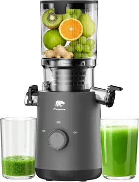 Pt-030a Floisdace Juicer Machines Cold Press With 5.3 Inch Extra Large Feed Chute And Powerful