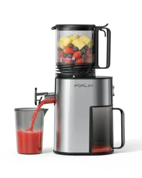 Forlim 924779506423 Juicer Machines With 5.2 Inch Large Feed Chute Slow Masticating Cold Press Juice
