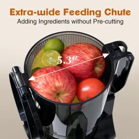 F6000 Fretta Cold Press Juicer Machines 5.3ftft Self Feeding Slow Masticating Juicers #2