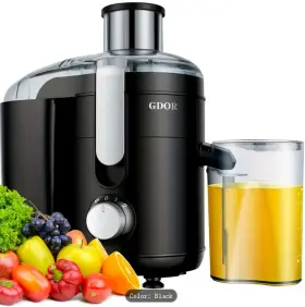 Hs4996 Gdor Centrifugal Juicer With 2.5 Inch Feed Chute 2 Speeds Setting 15oz 350w