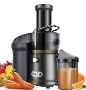 Juicer2 Gdor Centrifugal Juicer Barely Used