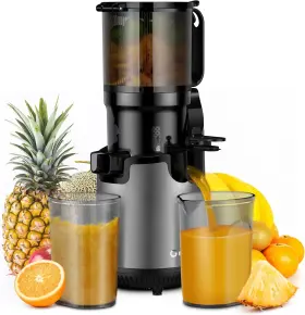 Sj-016 Gdor Cold Press Juicer 5.3 Inch Large Feed Chute Self-feeding Masticating Slow