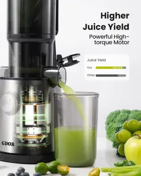Sj060 Gdor Cold Press Juicer Machine - Large 4.25 Inch Feed Chute Slow Masticating #3