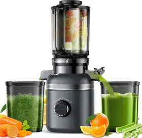Mk-sj22-13 Glowwise Cold Press Masticating Juicer Machines With Built-in Blades For Slicing Whole Fr