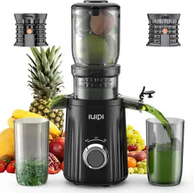 Gpd 749614409167 Slow Masticating Juicer Cold Press With 4.3 Inch Feed Chute Bpa-free High