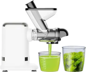 Gvode G2503-2 Cold Press Juicer 700w Dual Feed Chute 3 Modes