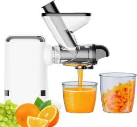 Gv-41500 Gvode Cold Press Juicer 700w Dual Feed Chute Electric Juicers Machines For Wh