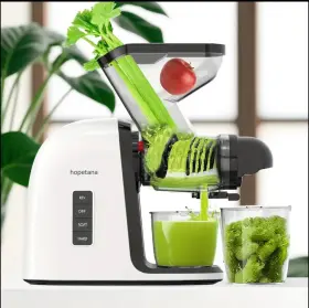 Js-3105 Hopetana Slow Masticating Cold Press Juicer With 3 Inch Dual Feed Chute - 2-speed Setting