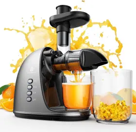 Jc-20 Joybear Cold Press Juicer Machine Easy To Clean Slow Masticating Extractor Sliver