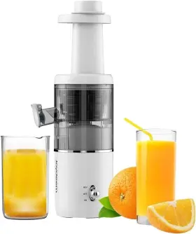 Jd-yz9901 Joydeem Compact Masticating Juicer Machines 400ml 14oz Cold Press Slow Filter