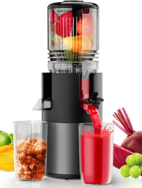 Mp-802q Juicer Machines Cold Press High Nutrient Retention 99% Juice Yield 5.3 Inch Wide