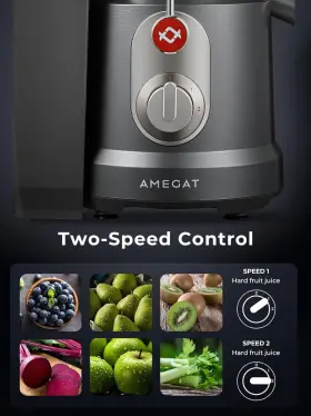 Je2101 Kitchen Amegat Series Juicer #2