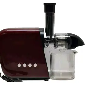 B5100 Koios 840164800371 Masticating Veggie And Fruit Juicer Machine Kitchen Appliance Tested