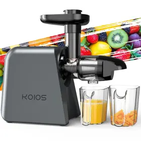 Haju-eb-1072 Koios Slow Masticating Juicer Machine Cold Press Juice Maker Fruit Vegetable