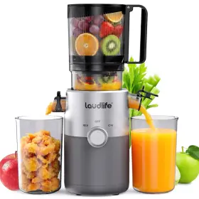 Laudlife 20251113xmzj Cold Press Masticating Juicer 5.4 In Large Feed Chute