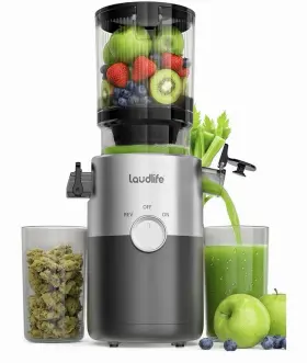 Laudlife Pt-032 Cold Press Juicer Machines