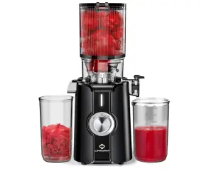 Linkchef 744759670694 Rush Clear Slow Masticating Juicer Machines Cold Press With No-prep 4.35